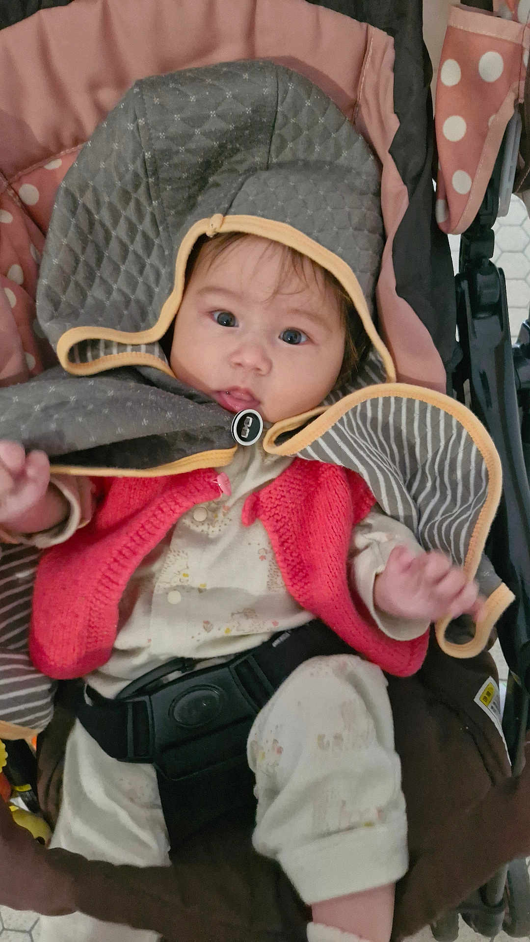 Nina participe au concours pour gagner de l'argent avec cette photo : baby, child, stroller, hood, cape, red_vest, pajamas, seatbelt, indoor, curious, face, hand, footwear, blanket, polka_dots, striped, fabric, infant, seated, cute