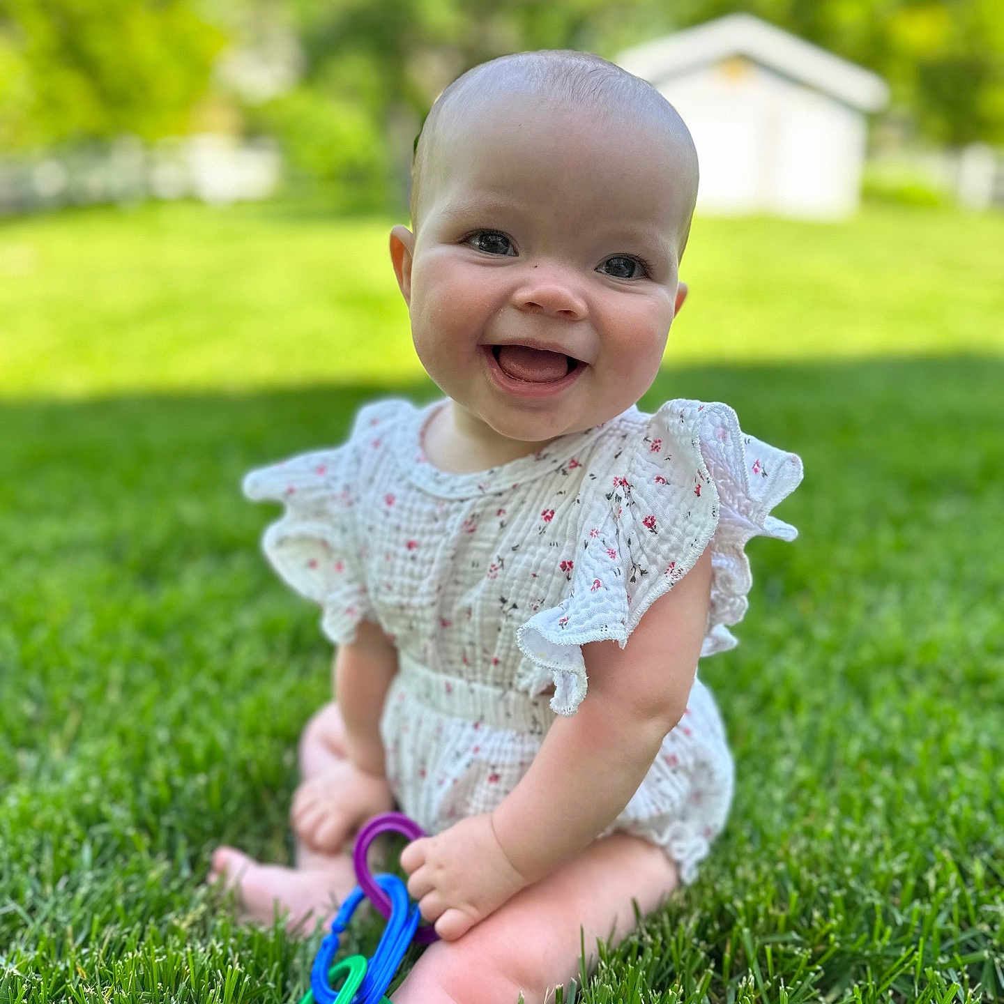 Olivia is registered to the contest to win money with this photo: baby, barefoot, child, colorful, cute, daytime, dress, grass, greenery, happy, infant, nature, outdoor, playful, sitting, skin, smiling, summer, sunlight, toy