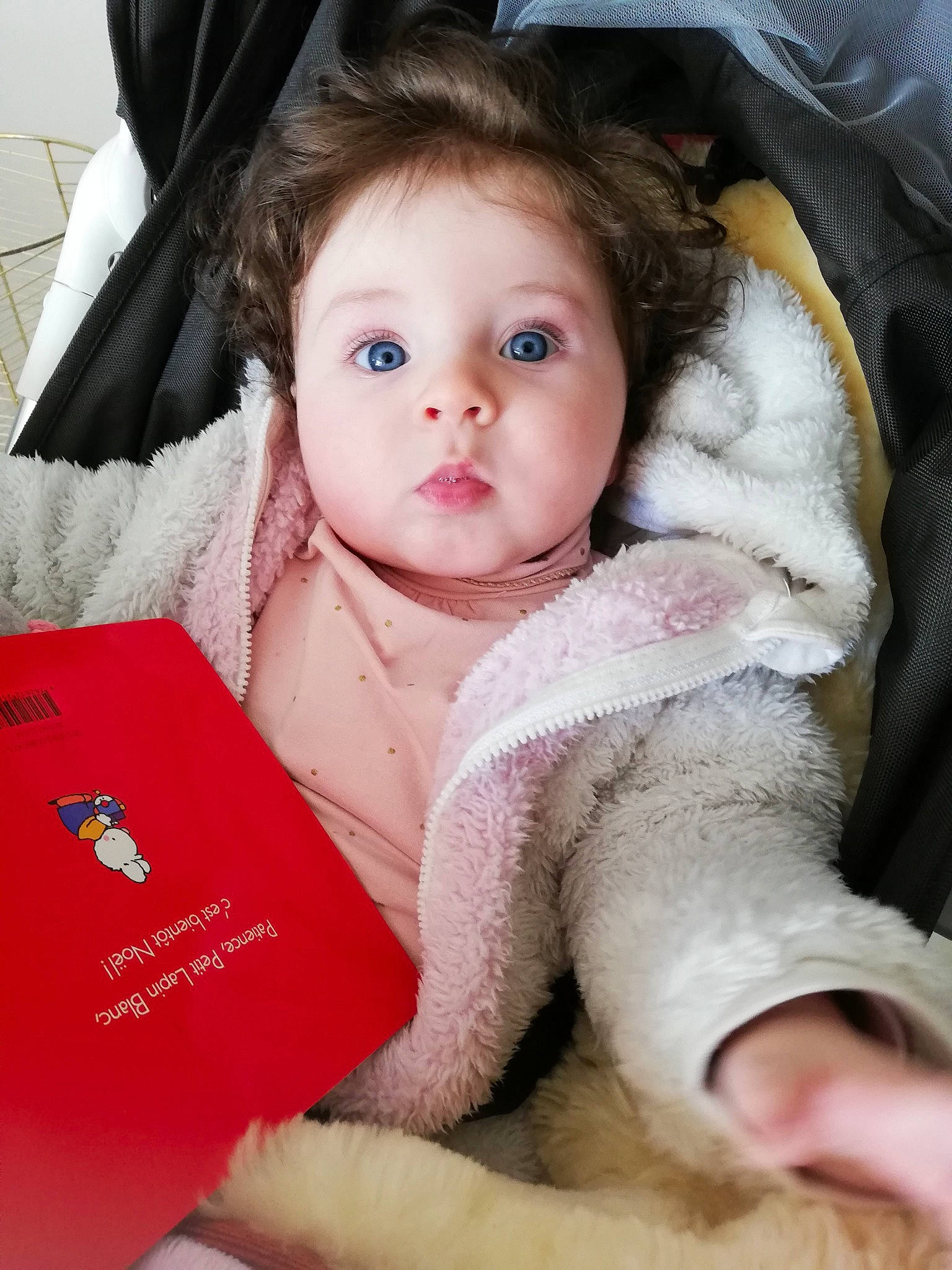 Julia participe au concours pour gagner de l'argent avec cette photo : baby, cheek, child, eye, fur, iris, lip, nose, person, skin, surprise, toddler