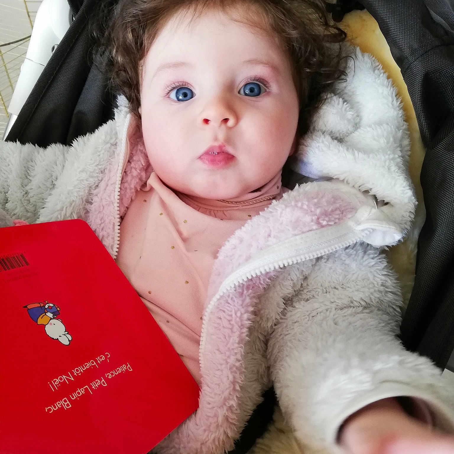Julia participe au concours pour gagner de l'argent avec cette photo : baby, cheek, child, eye, fur, iris, lip, nose, person, skin, surprise, toddler
