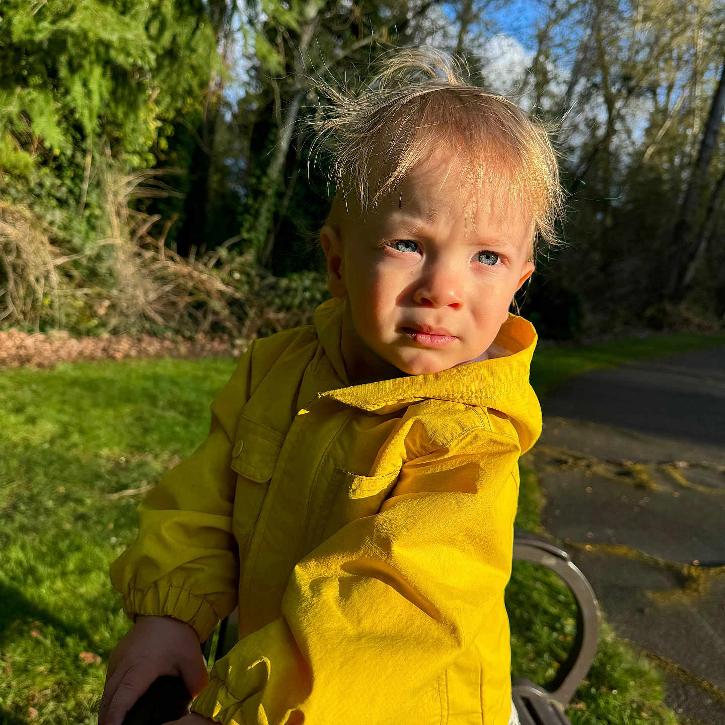 Mark is registered to the contest to win money with this photo: bench, bodypart, boy, child, clothing, coat, face, finger, furniture, grass, hand, head, jacket, male, pants, person, photography, plant, portrait, tree