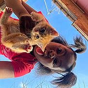 Ginger joined the competition — help win amazing prizes! animal, antenna, blue_sky, cat, feline, happy, holding, kitten, nature, outdoor, person, pet, pigtails, playful, red_shirt, roof, sky, smiling, sunlight, young_person