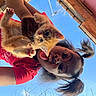 animal, antenna, blue_sky, cat, feline, happy, holding, kitten, nature, outdoor, person, pet, pigtails, playful, red_shirt, roof, sky, smiling, sunlight, young_person