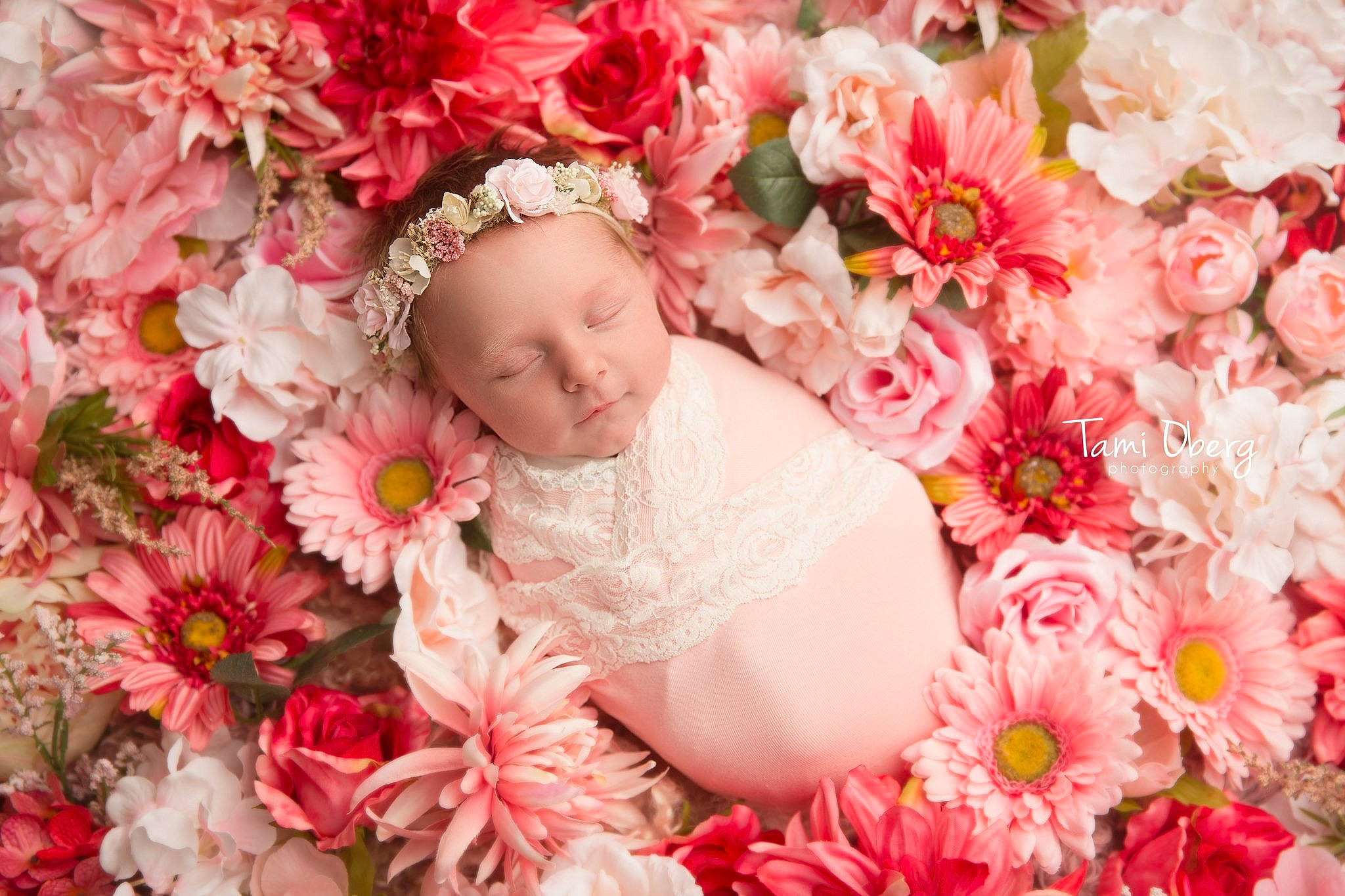 Karley joined the competition — help win amazing prizes! baby, bouquet, child, cut_flowers, floral_design, floristry, flower, flower_arranging, garden_roses, peach, person, petal, photography, pink, plant, rose, spring, toddler