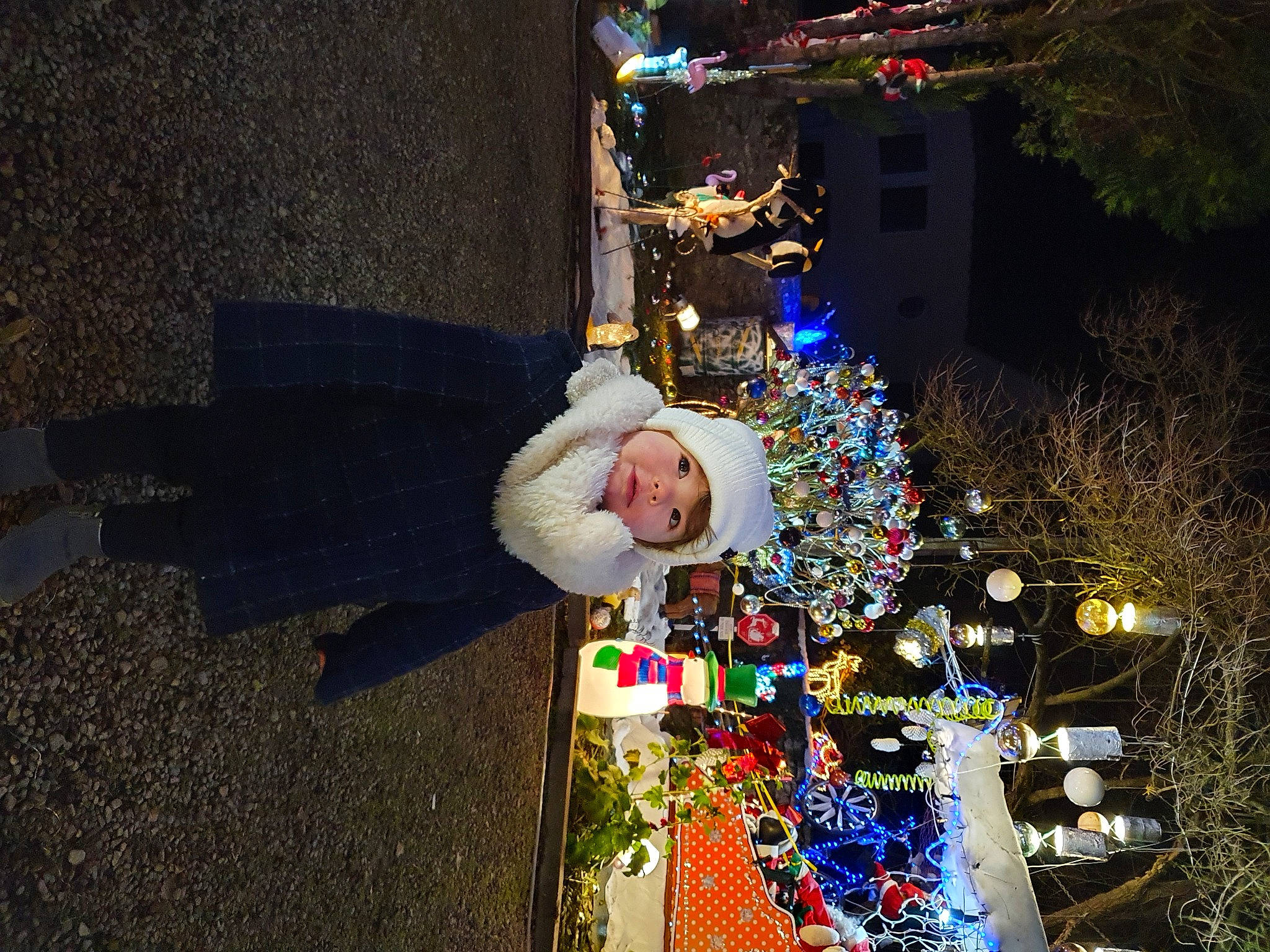 Anaé a rejoint le concours — aidez-le/la à gagner de superbes lots ! christmas, christmas_decoration, christmas_ornament, christmas_tree, city, conifer, event, fun, happy, headwear, holiday, holiday_ornament, interior_design, leaf, ornament, person, plant, public_space, street_light, tradition