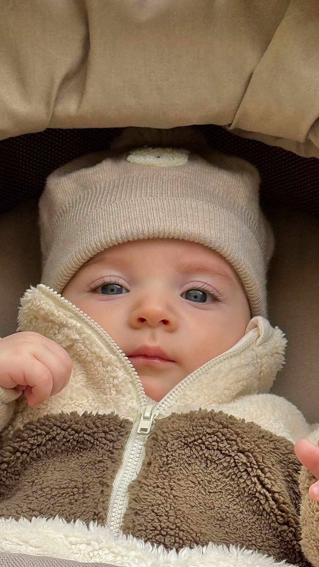 Edward participe au concours pour gagner de l'argent avec cette photo : baby, infant, child, face, hat, knit_hat, jacket, zipper, fleece, brown, cream, blue_eyes, hand, cushion, soft_fabric, warm_clothing, close_up, portrait, indoor, cute