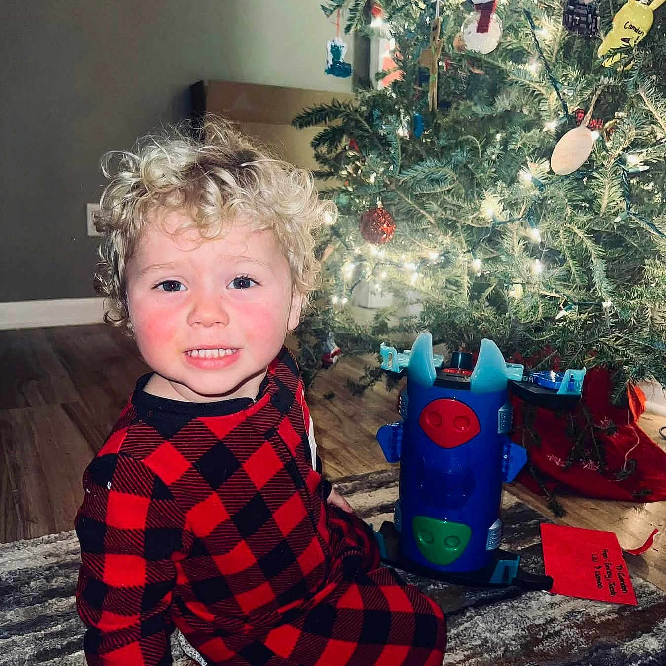 Liam joined the competition — help win amazing prizes! blue_toy, checkered_pattern, child, christmas_tree, curly_hair, decorations, face, holiday, indoor, lights, ornaments, pajamas, red_and_black, red_toy, rug, smile, smiling, toddler, toy, wood_floor