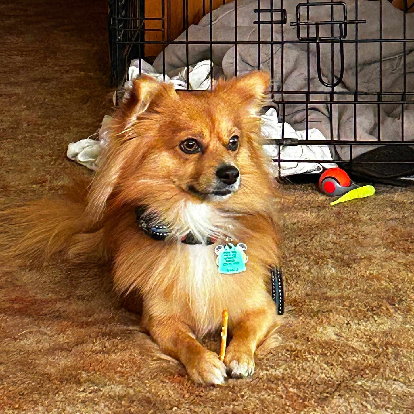 Rudy