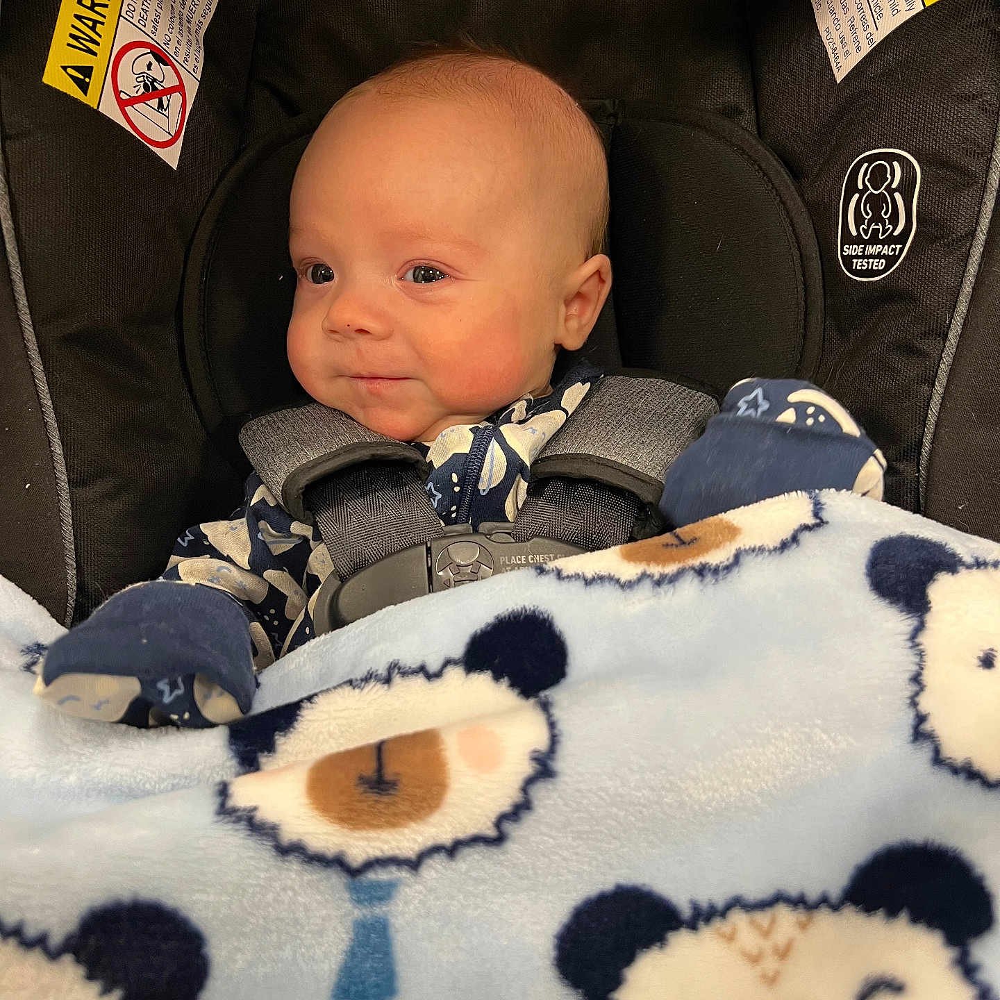 Zeke is registered to the contest to win money with this photo: animal, baby, bear, blanket, car, clothing, coat, cushion, face, happy, head, homedecor, jacket, newborn, person, photography, portrait, smile, transportation, vehicle