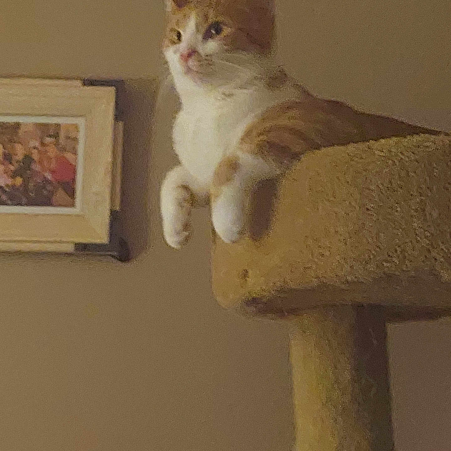 Ginger joined the competition — help win amazing prizes! abyssinian, angora, animal, archaeology, architecture, art, building, cat, chair, furniture, kitten, manx, painting, person, pet, plant, plywood, pottedplant, wall, wood