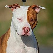 Byron a rejoint le concours — aidez-le/la à gagner de superbes lots !