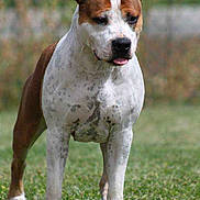 Habby a rejoint le concours — aidez-le/la à gagner de superbes lots !