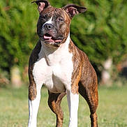 Easy participe au concours pour gagner de l'argent avec cette photo :