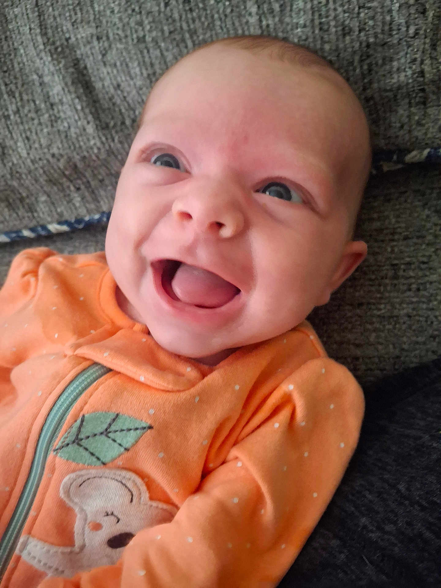 Harper is registered to the contest to win money with this photo: baby, smiling, orange_outfit, koala, leaf, infant, happy, face, eyes, mouth, clothing, texture, fabric, cute, child, portrait, lying_down, indoor, closeup, person