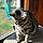 Charlie