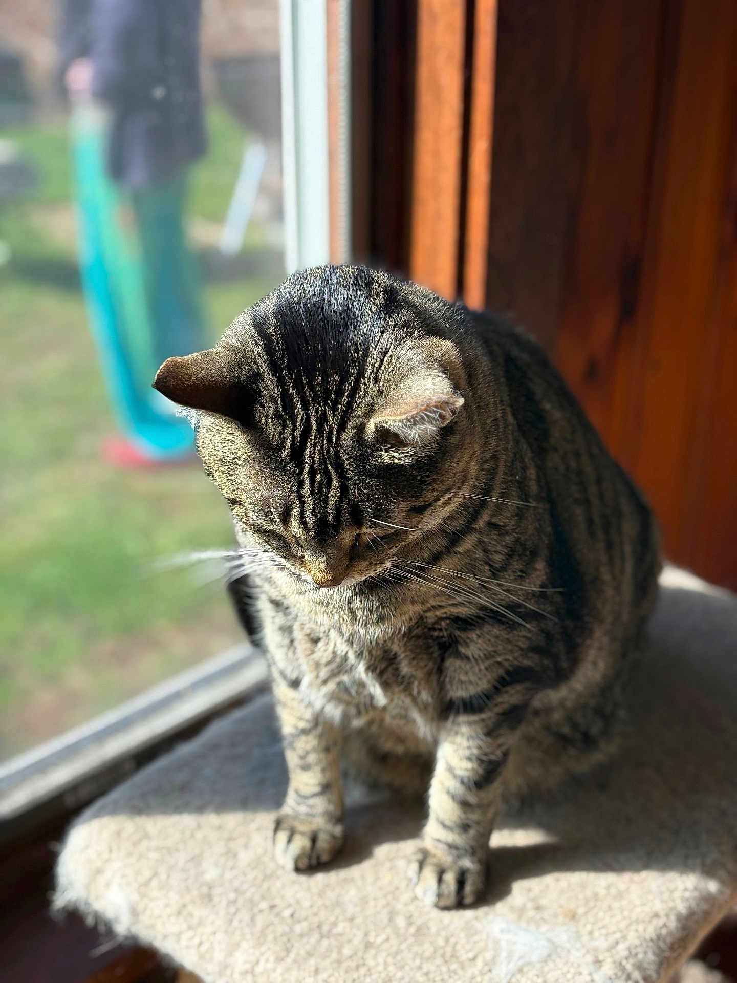 Charlie