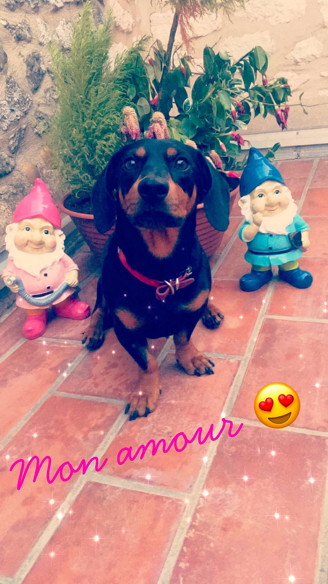 Jake participe au concours pour gagner de l'argent avec cette photo : carnivoran, dog, dog_breed, dog_like_mammal, fun, mammal, person, pink, play, puppy, snout, toddler, vertebrate