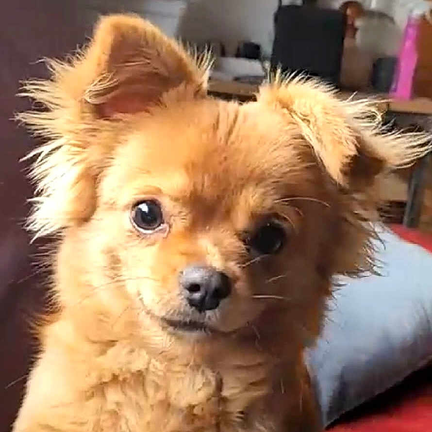 Arthur
