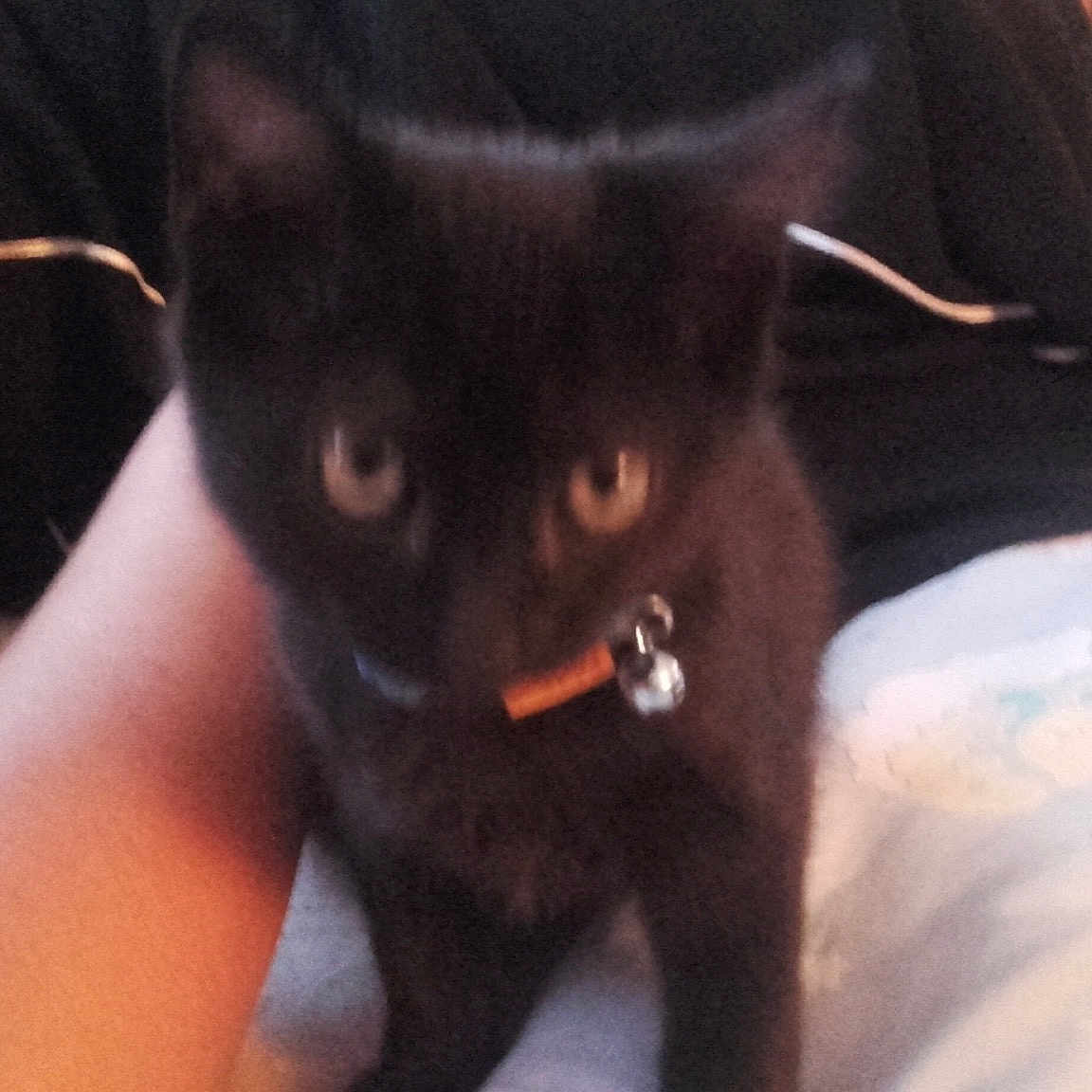 Mon Bb