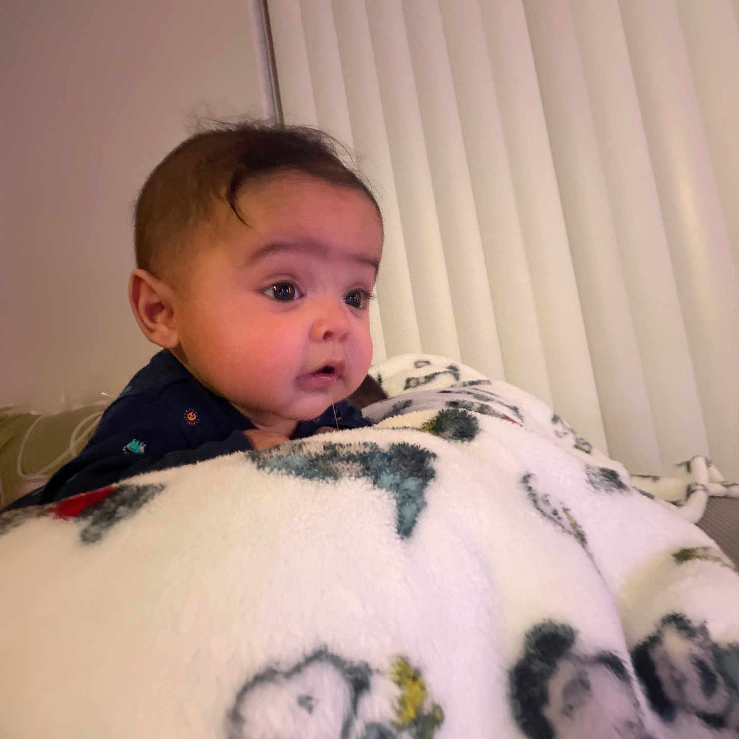 Dylan