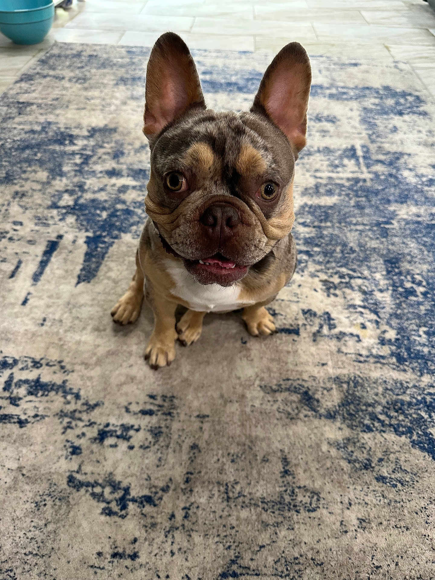 Fritz