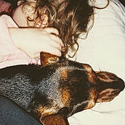 Sooky a rejoint le concours — aidez-le/la à gagner de superbes lots ! child, curly_hair, dog, pet, snuggling, blanket, resting, comfort, cozy, indoors, closeup, brown_hair, black_and_brown_dog, sleeping, hand, soft_texture, warmth, friendship, relaxation, nap_time