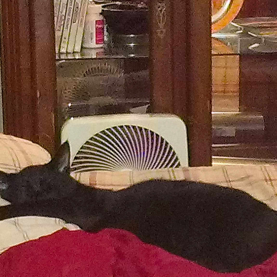 Demon