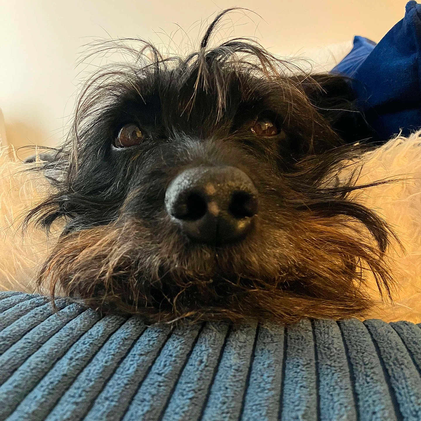 Rocky