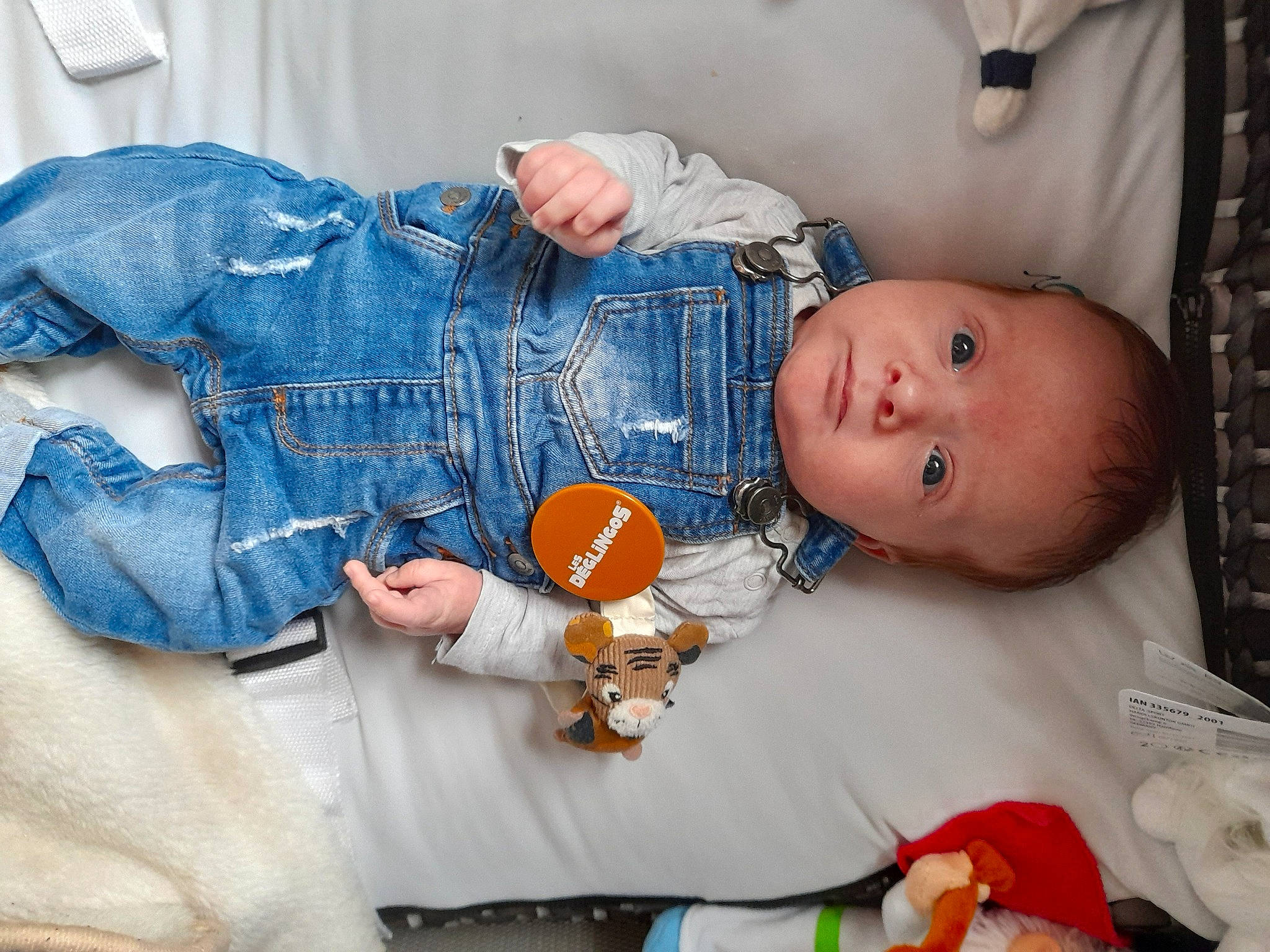 Aaron participe au concours pour gagner de l'argent avec cette photo : abdomen, baby, baby_toddler_clothing, button, child, couch, denim, human_body, leg, mouth, orange, person, plaid, skin, sleeve, stuffed_toy, textile, toddler, toy, trunk