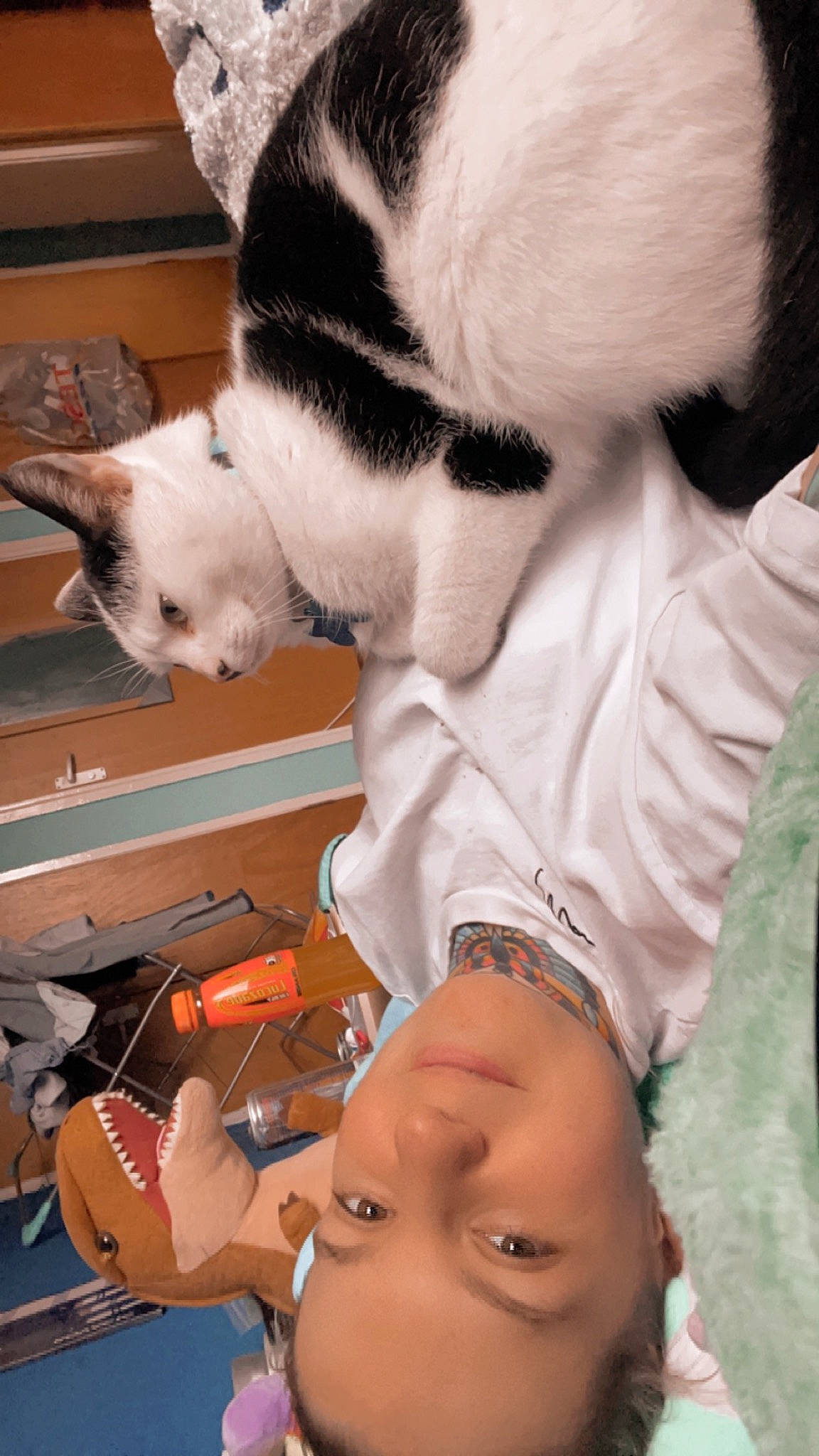 Harvey is registered to the contest to win money with this photo: canidae, carmine, carnivore, cat, child, dog_breed, domestic_short_haired_cat, eyelash, felidae, fur, paw, small_to_medium_sized_cats, tail, toddler, whiskers