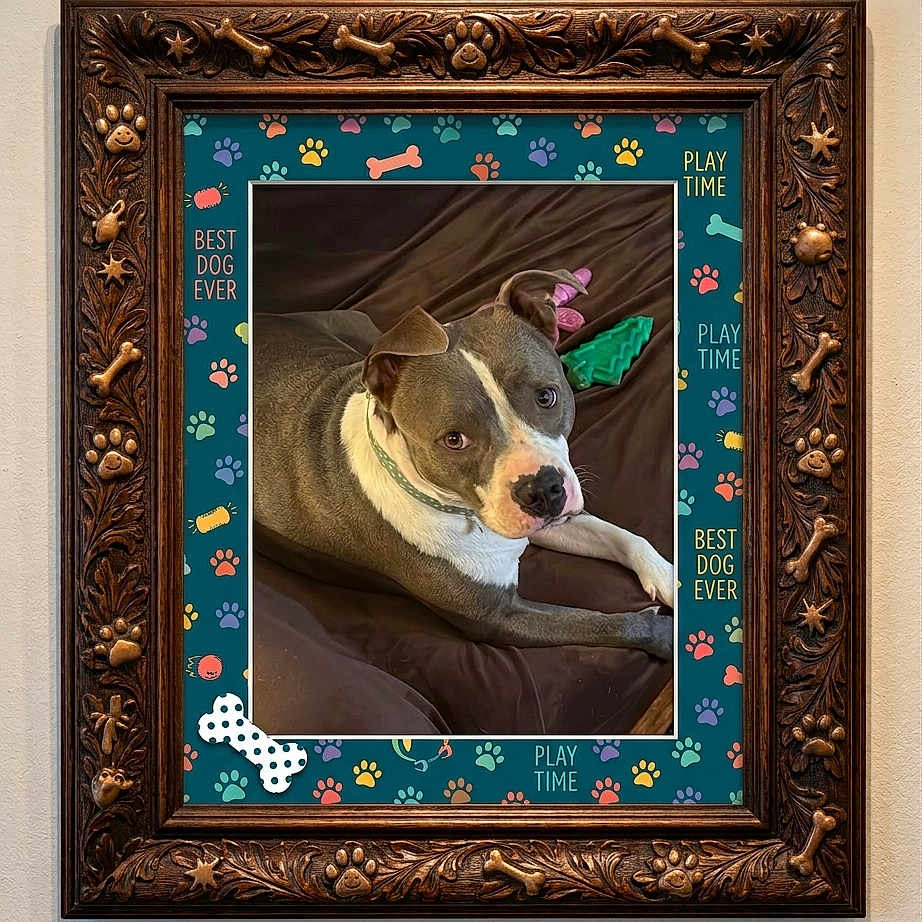 Duchess