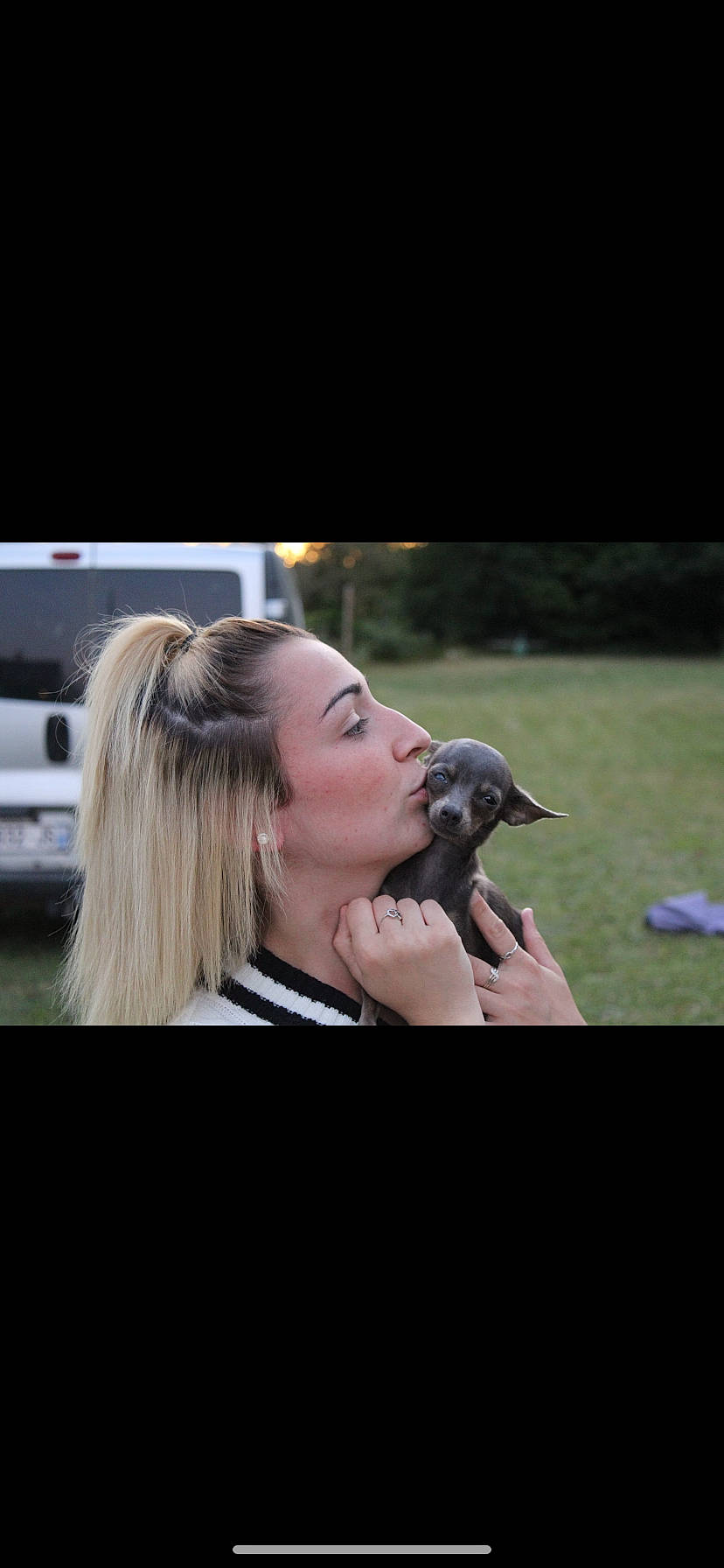 Shipie a rejoint le concours — aidez-le/la à gagner de superbes lots ! audio_equipment, beak, bird, event, feather, flash_photography, grass, jewellery, microphone, perching_bird, plant, singer, wildlife, wildlife_biologist, wing