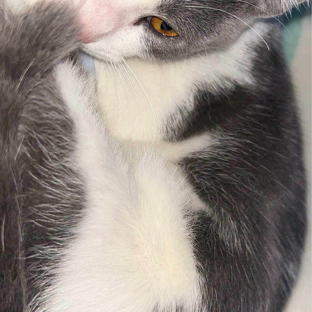 Roscoe