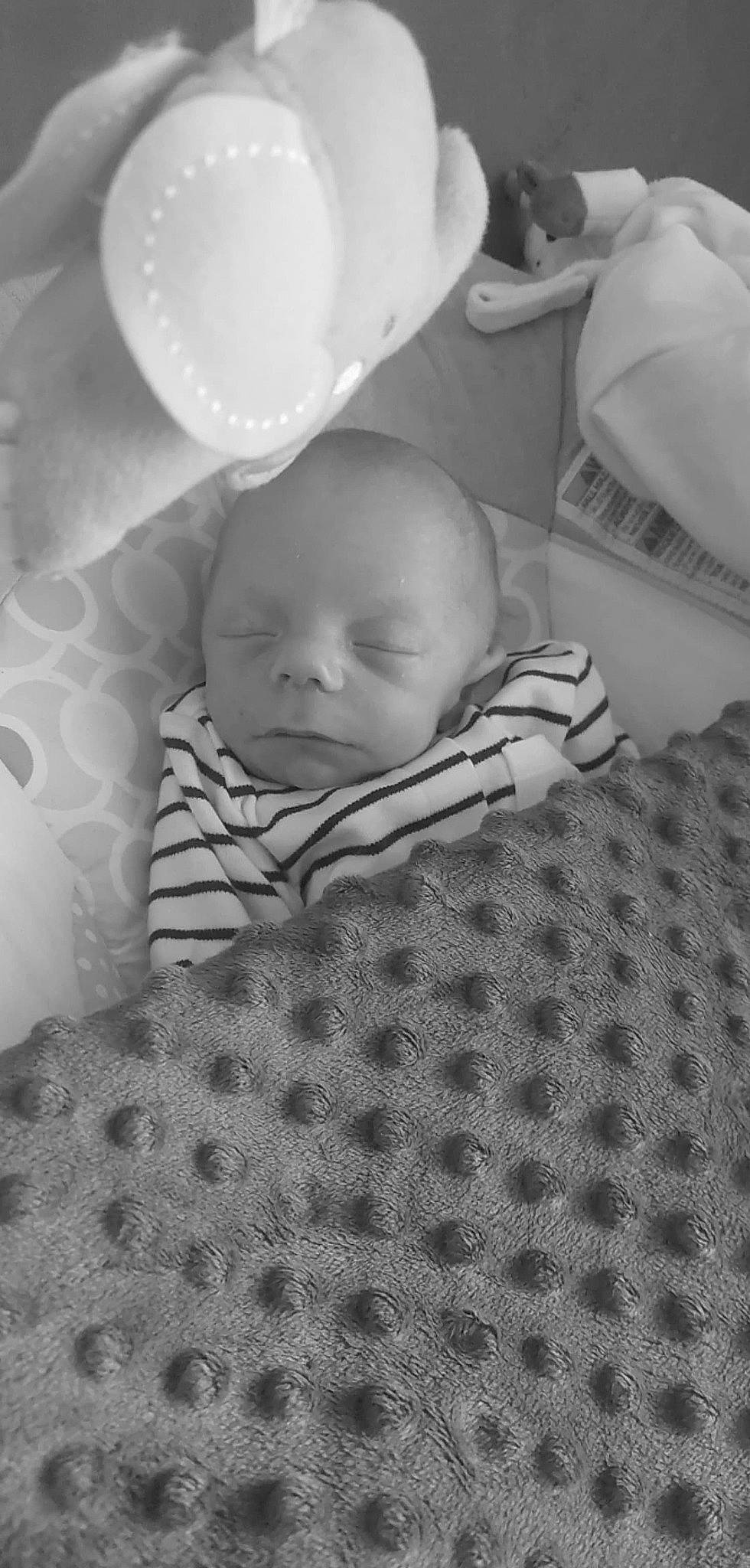 Owen participe au concours pour gagner de l'argent avec cette photo : baby, baby_products, baby_sleeping, baby_toddler_clothing, bedding, bedtime, child, comfort, grass, grey, linens, monochrome, monochrome_photography, nap, pattern, person, portrait_photography, room, sitting, sleep