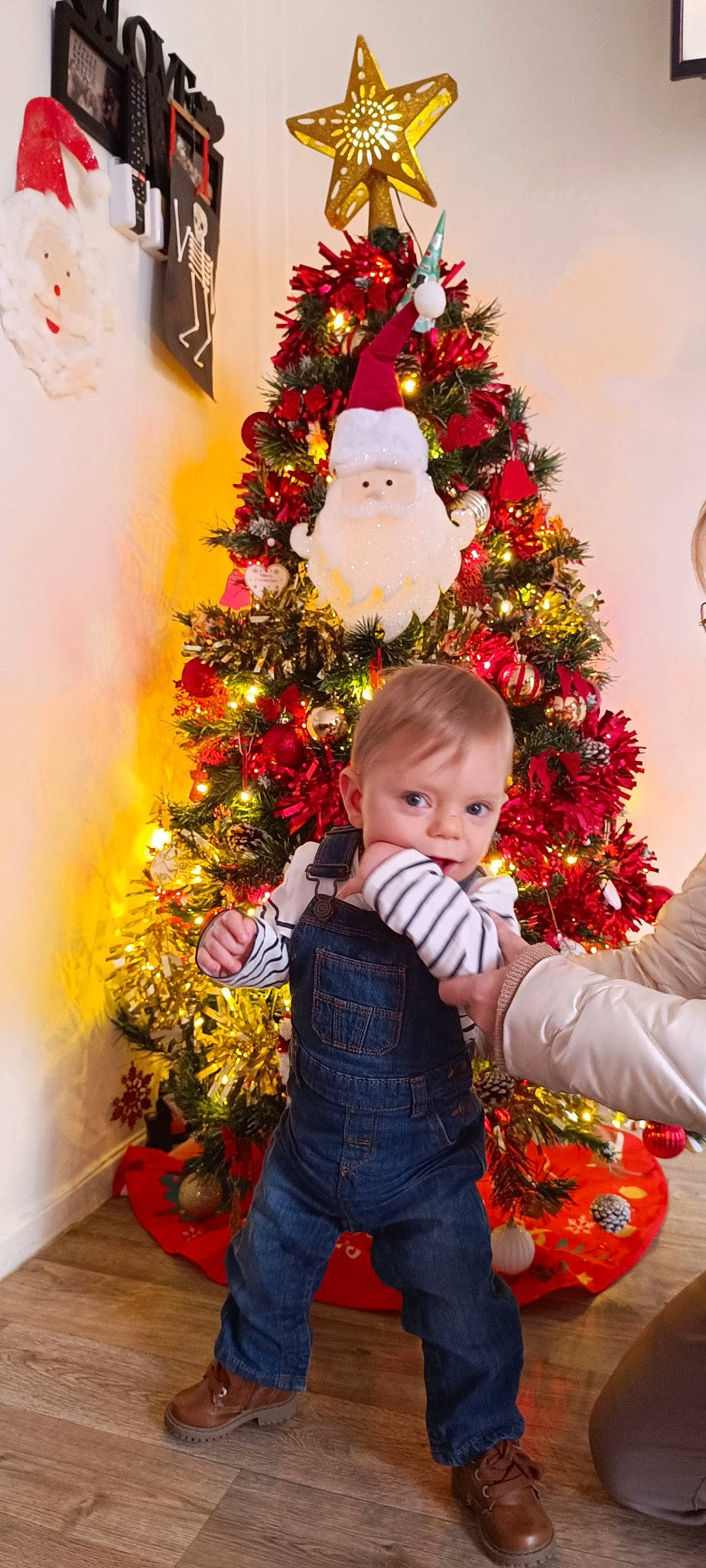 Owen a rejoint le concours — aidez-le/la à gagner de superbes lots ! baby_toddler_clothing, christmas_decoration, christmas_ornament, christmas_tree, event, evergreen, flowerpot, happy, holiday, holiday_ornament, houseplant, human_body, organ, ornament, people, person, plant, red, standing, toddler