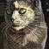 Jaspurr