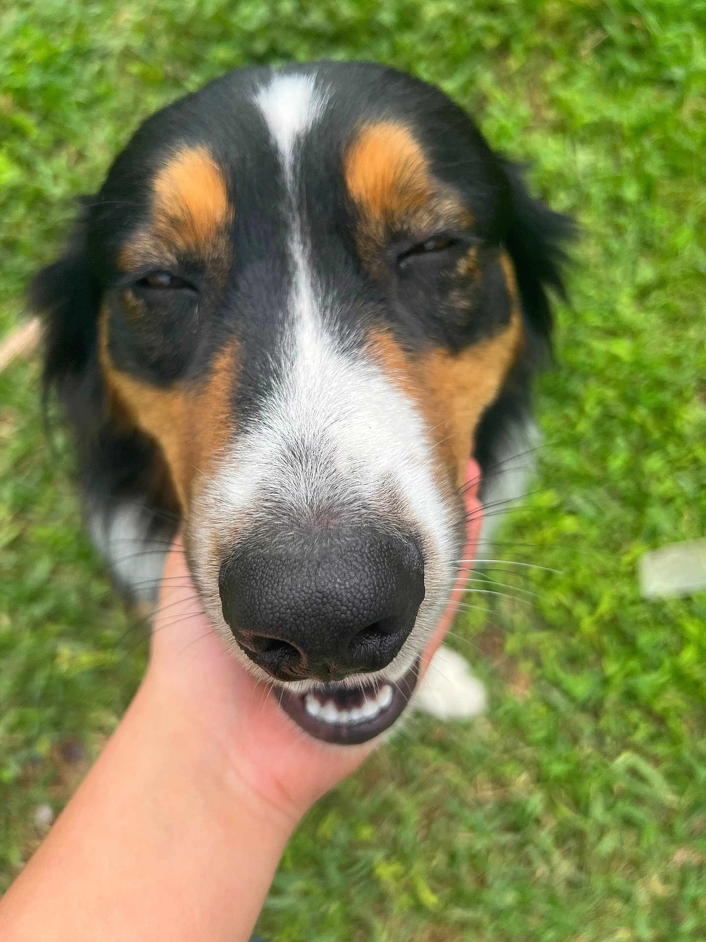 Odin