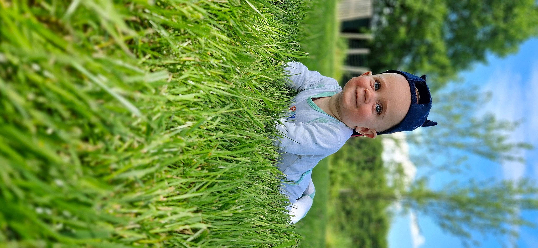 Dario participe au concours pour gagner de l'argent avec cette photo : baby, child, conifer, evergreen, fun, grass, grass_family, grassland, happy, joy, leisure, nature, people_in_nature, person, plant, portrait_photography, shrub, smile, terrestrial_plant, toddler