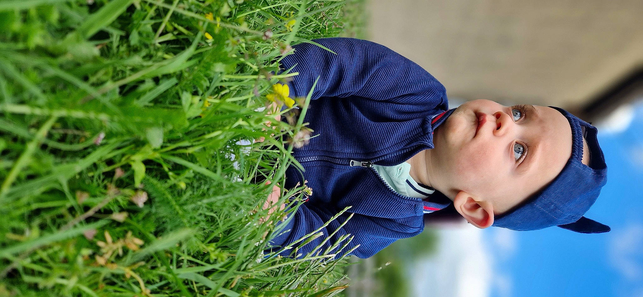 Dario a rejoint le concours — aidez-le/la à gagner de superbes lots ! baby, child, denim, electric_blue, field, flowering_plant, grass, grass_family, grassland, happy, headwear, leisure, meadow, people_in_nature, person, plant, portrait_photography, prairie, sitting, smile