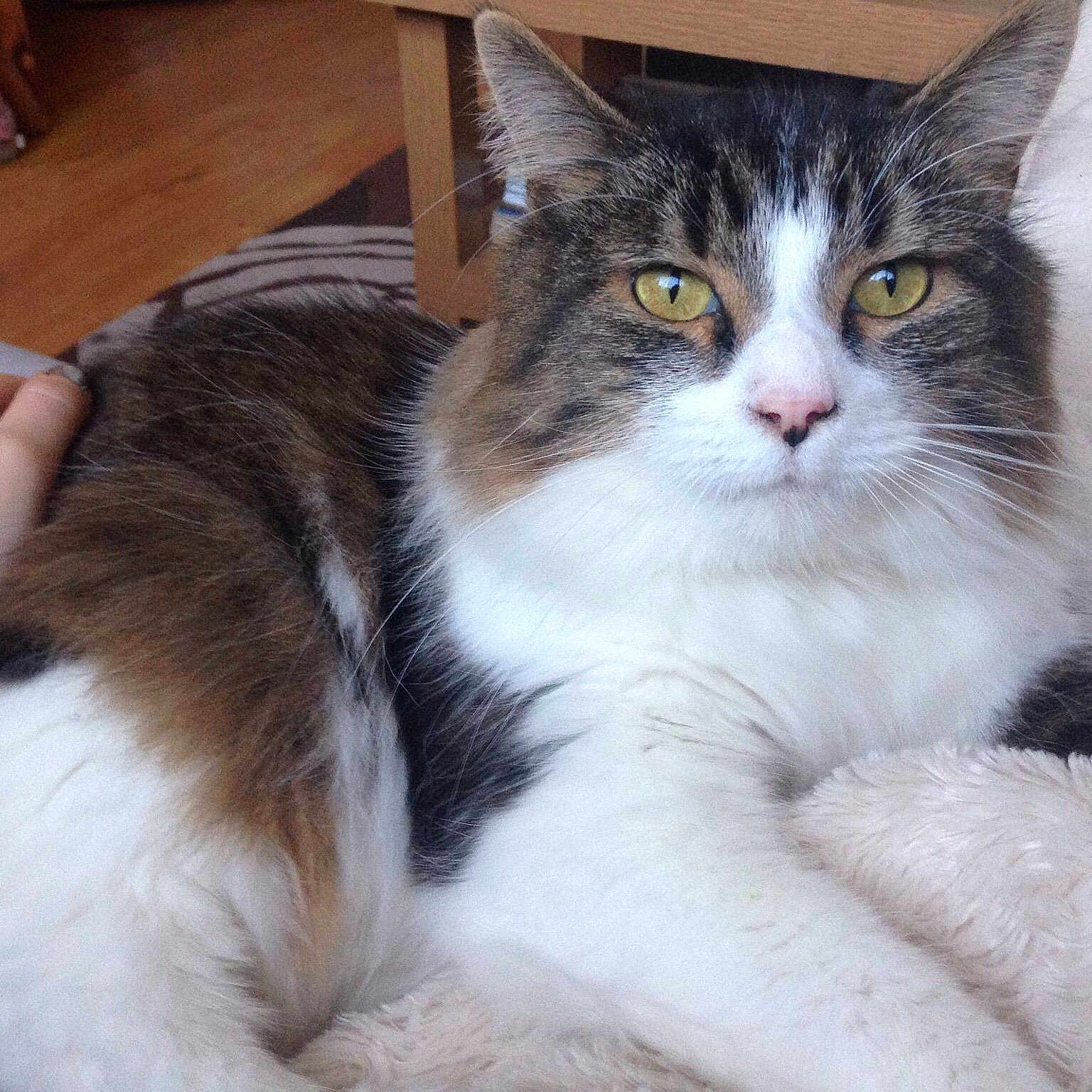 Bear joined the competition — help win amazing prizes!