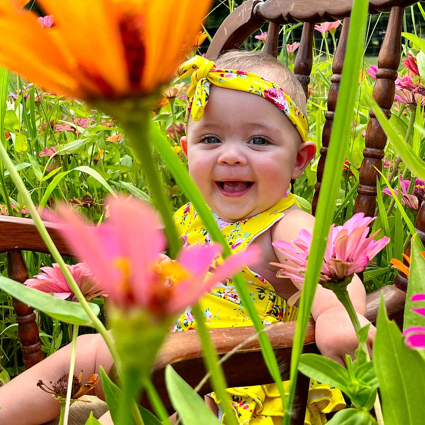 Markella is registered to the contest to win money with this photo: daisy, face, flower, grass, head, herbal, herbs, jar, leaf, person, petal, photography, plant, planter, portrait, pottedplant, pottery, summer, vase, vegetation