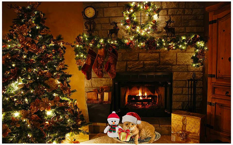 Pumpkin joined the competition — help win amazing prizes! christmas, christmas_decoration, christmas_ornament, christmas_tree, decor, fireplace, holiday, home, interior_design, living_room, person, tree