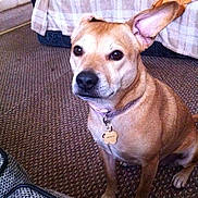 Lucy is registered to the contest to win money with this photo:
