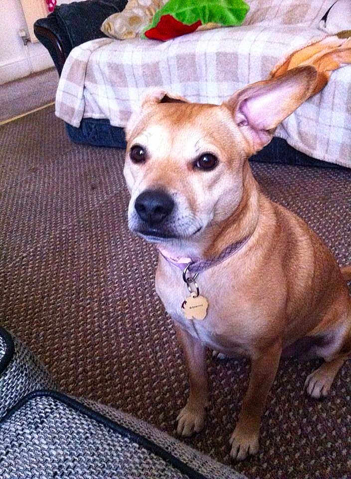 Lucy
