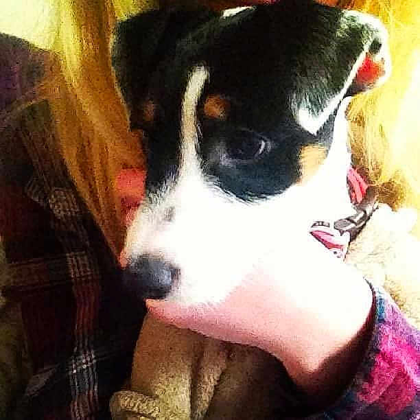 Lola