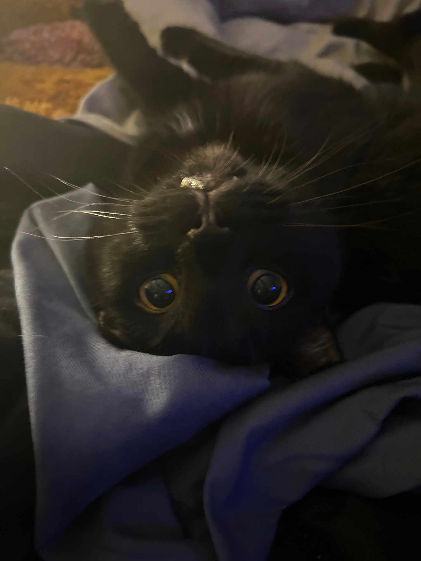 Salem
