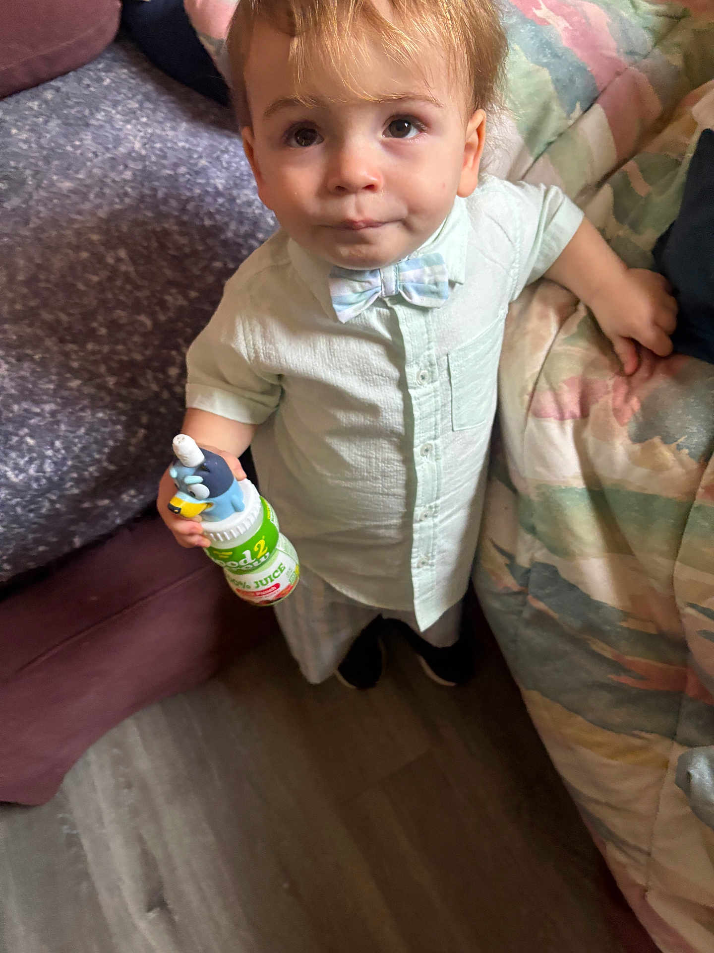 Malikye Gabrial joined the competition — help win amazing prizes! toddler, child, boy, indoor, shirt, bow_tie, juice_bottle, toy, floor, quilt, couch, carpet, curious, standing, furniture, face, clothing, hand, person, expression