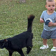 Mathieu participe au concours pour gagner de l'argent avec cette photo : child, toddler, grass, cat, black_cat, outdoor, tree, greenery, shoes, shorts, shirt, animal, pet, nature, daylight, curious, walking, person, young_child, summer