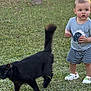 child, toddler, grass, cat, black_cat, outdoor, tree, greenery, shoes, shorts, shirt, animal, pet, nature, daylight, curious, walking, person, young_child, summer