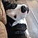 Rocko